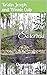 The Sorceress: Chronicles o...