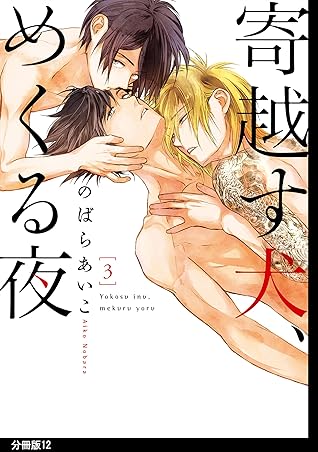 寄越す犬 めくる夜 分冊版 １２ By のばらあいこ