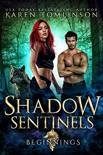 Beginnings (Shadow Sentinels, #0.5)