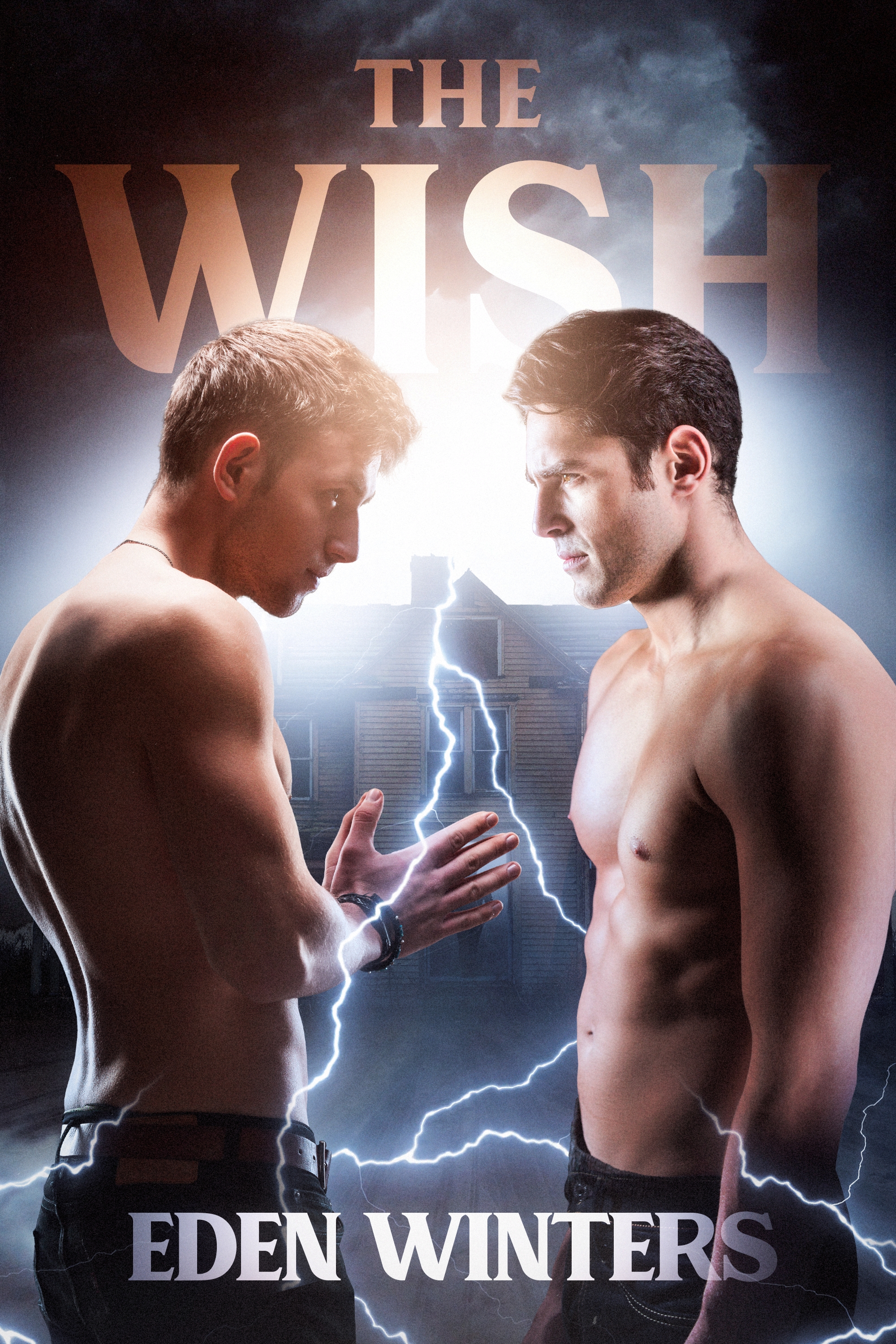 The Wish (The Wish, #1)