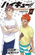 ハイキュー!! ショーセツバン!! XII [Haikyū!! Shōsetsuban!! 12]