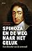 Spinoza en de weg naar het geluk - Een filosofie van de eenvoud