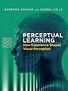 Perceptual Learning: How Experience Shapes Visual Perception