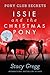 Issie and the Christmas Pony
