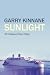 Sunlight: The Shadowed Days...