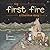 The First Fire: A Cherokee ...