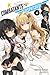Combatants Will Be Dispatched!, Vol. 4 (light novel) (Volume 4)