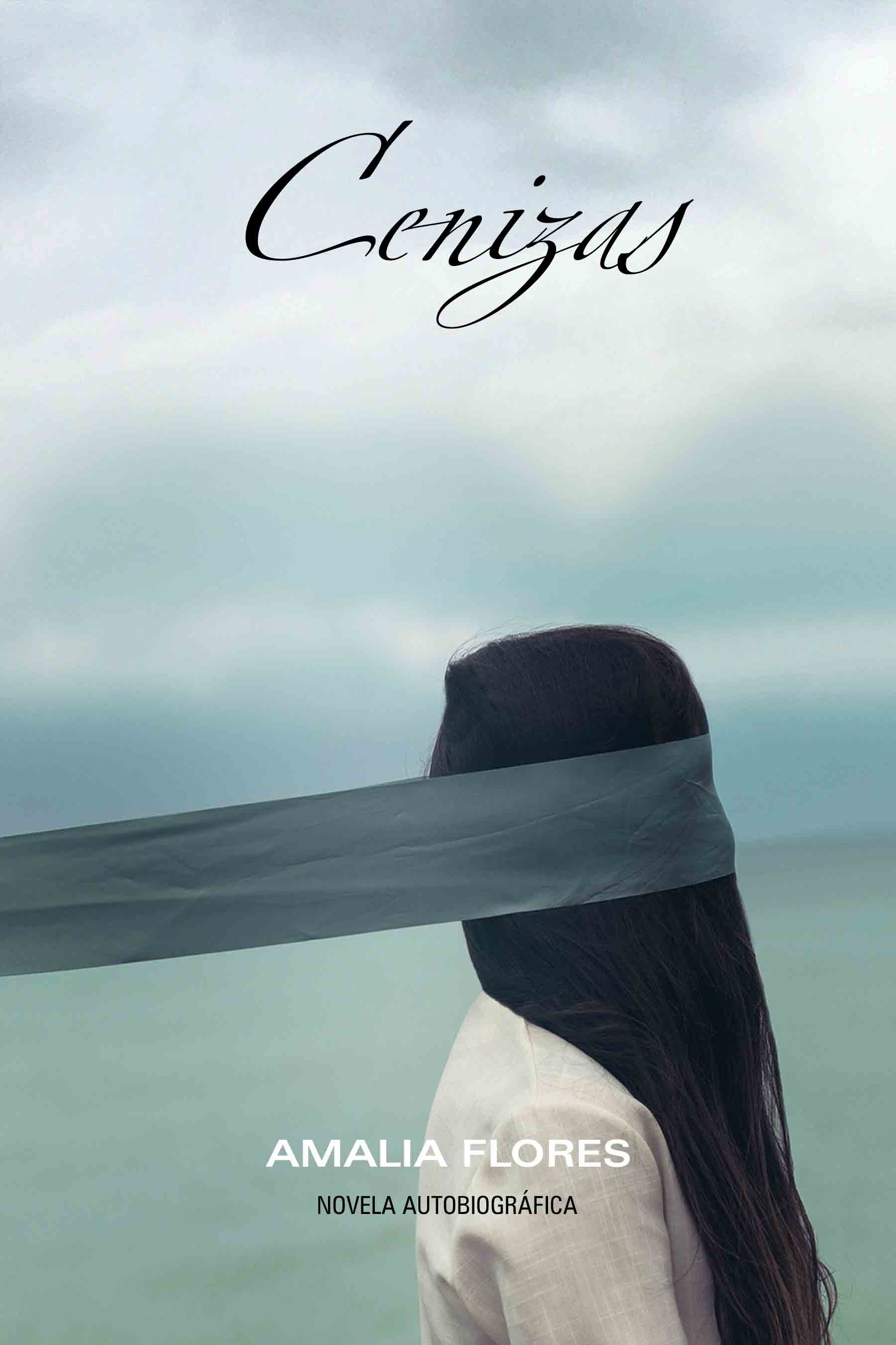 Cenizas (Kindle Edition)