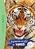 Expédition au pays des tigres by Wild Immersion Expédition au pays des tigres by Wild Immersion