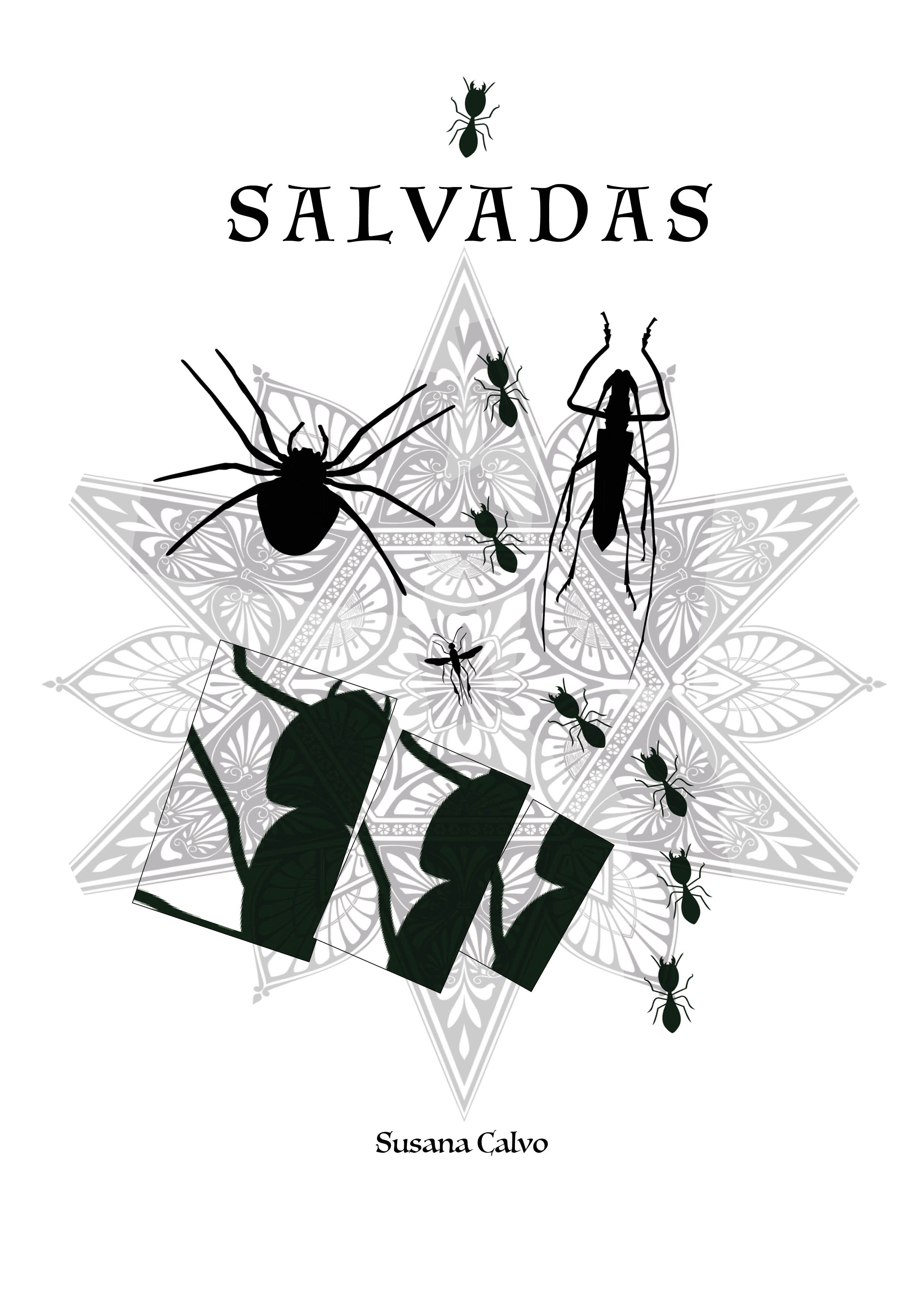 Salvadas (ebook)