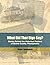 What Did That Sign Say? by Roger J. Applegate