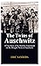 THE TWINS OF AUSCHWITZ: A True Story of the Horrific Experiment on the Mangele Twins of Auschwitz.