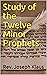 Study of the Twelve Minor Prophets.