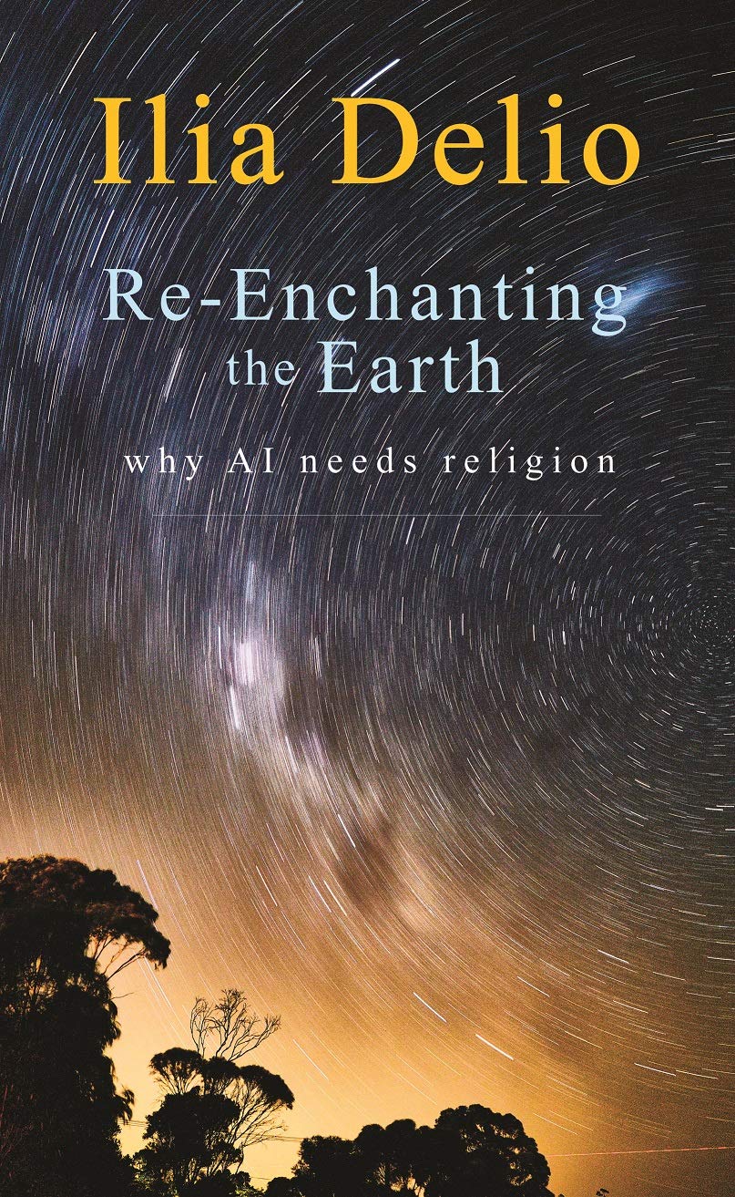 Re-Enchanting the Earth: Why AI Needs Religion (Kindle Edition)