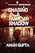 Chasing a Familiar Shadow