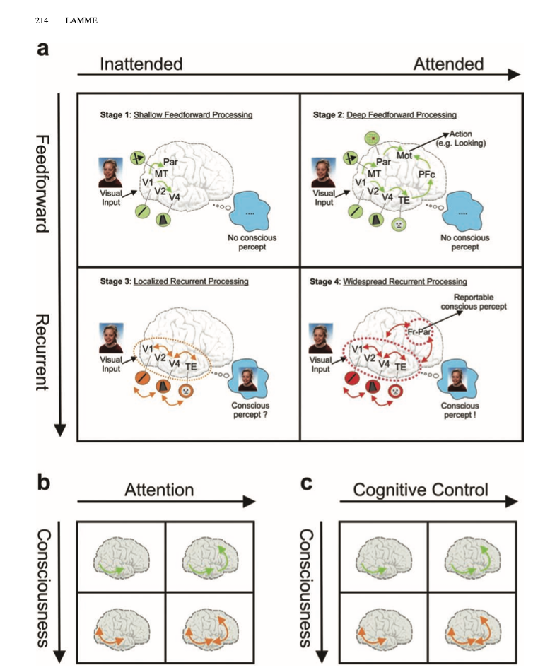 How neuroscience will change our view on consciousness