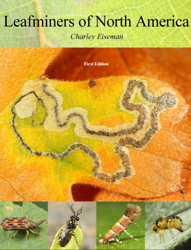 Leafminers of North America