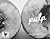 Pulp