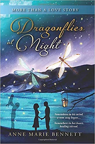 Dragonflies at Night