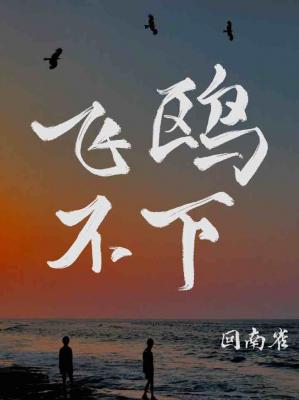 飞鸥不下 (ebook)