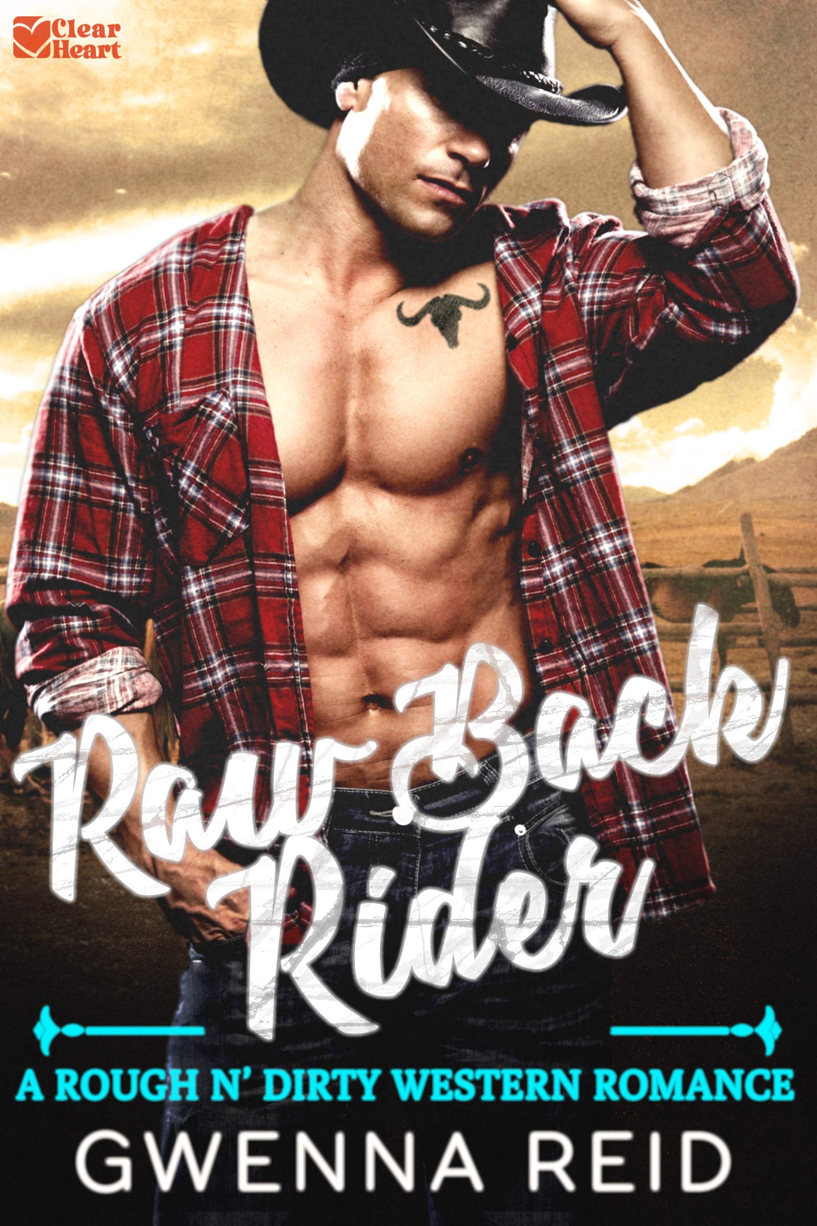 Raw Back Rider: A Rough N' Dirty Western Romance (Kindle Edition)