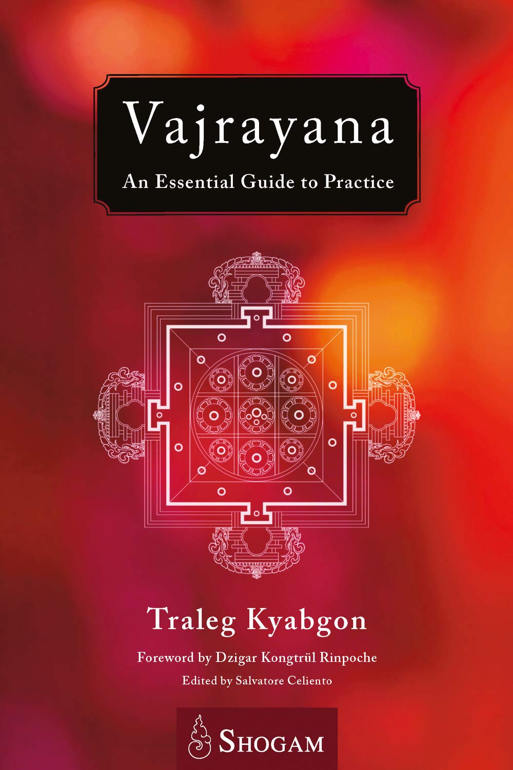 Vajrayana: An Essential Guide To Practice (Kindle Edition)