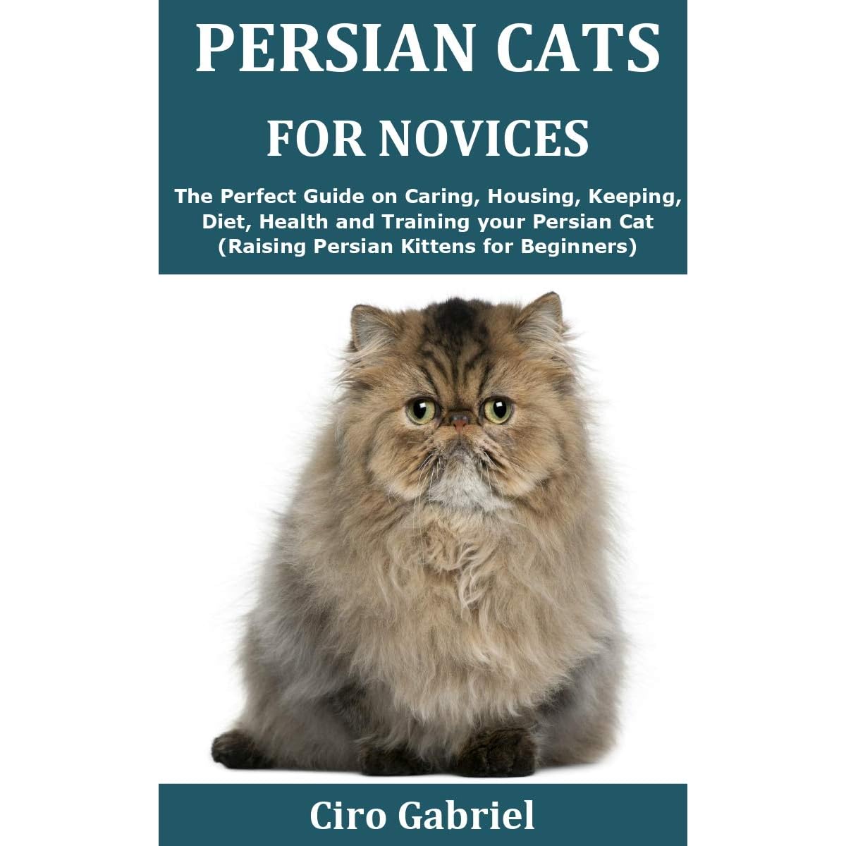 persian cat diet
