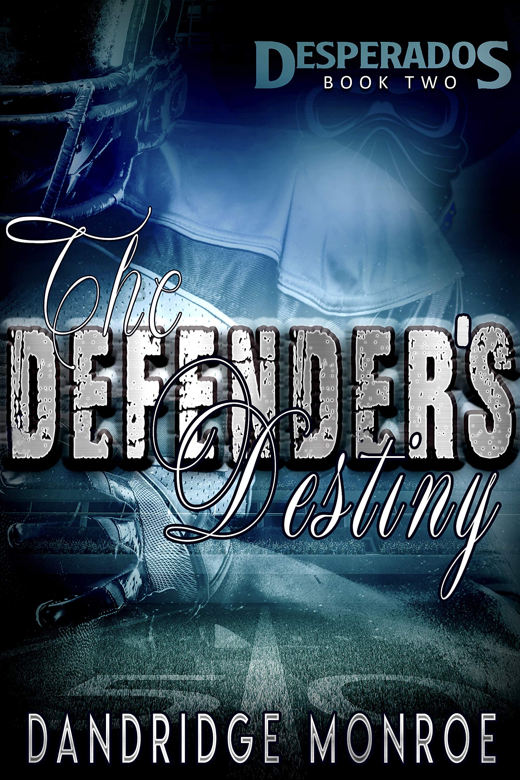 The Defender's Destiny (Desperados #2)