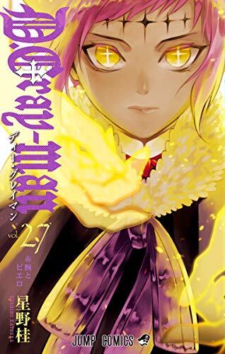 D.Gray-man 27 (Paperback)