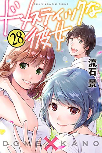 ドメスティックな彼女 28 [Domestic na Kanojo 28] (Domestic Girlfriend, #28)