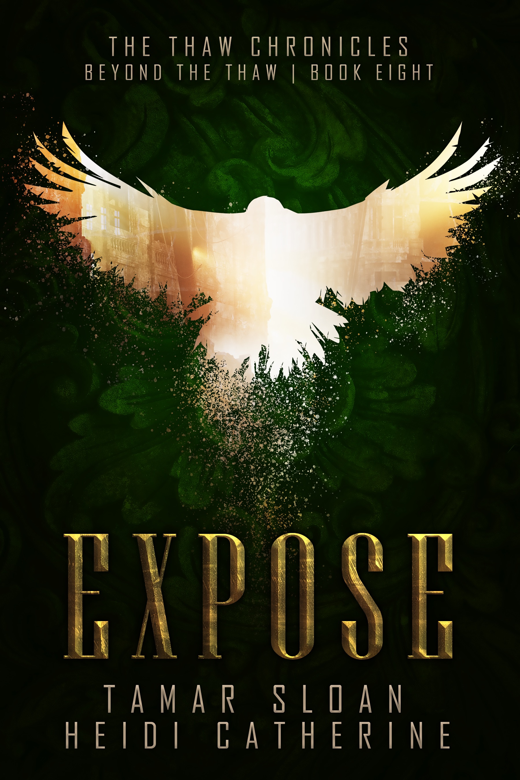 Expose: Beyond the Thaw (The Thaw Chronicles, #8)