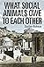 What Social Animals Owe to Each Other by Sheldon Richman