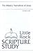 The Infancy Narratives of J...