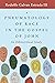 A Pneumatology of Race in the Gospel of John by Rodolfo Galvan III Estrada