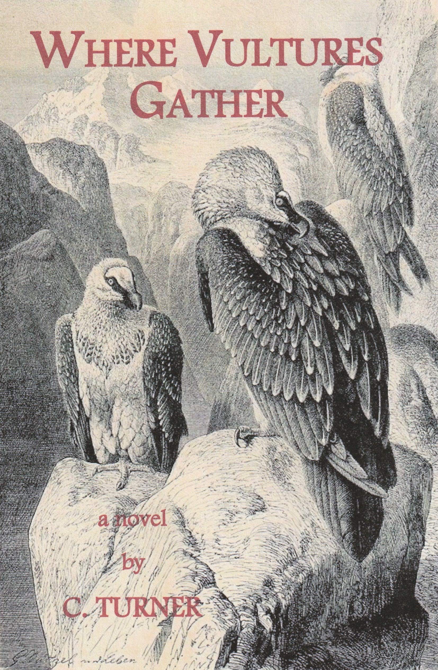 Where Vultures Gather (Kindle Edition)