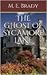 The Ghost of Sycamore Lane