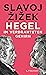 Hegel im verdrahteten Gehirn