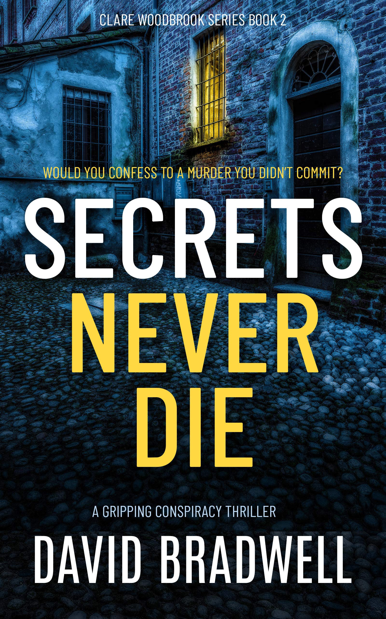 Secrets Never Die (Clare Woodbrook #2)