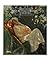 Turkish Painting From The O...
