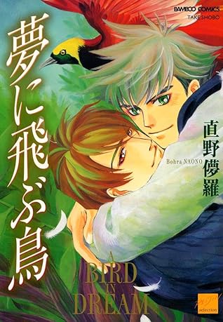 夢に飛ぶ鳥 By Bohra Naono