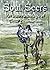 Soul Seers: An Irish Anthology of Celtic Shamanism