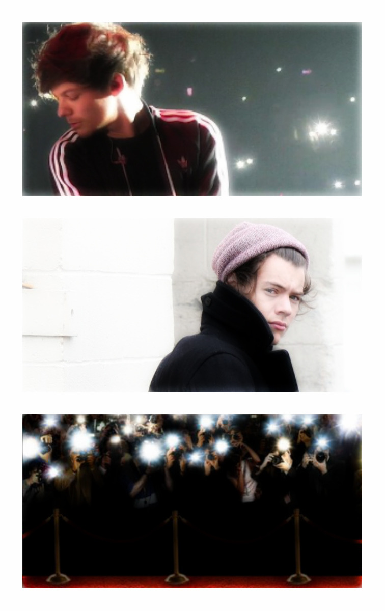 Cameras Flashing (ebook)