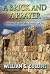 A Brick and a Prayer: Nehem...