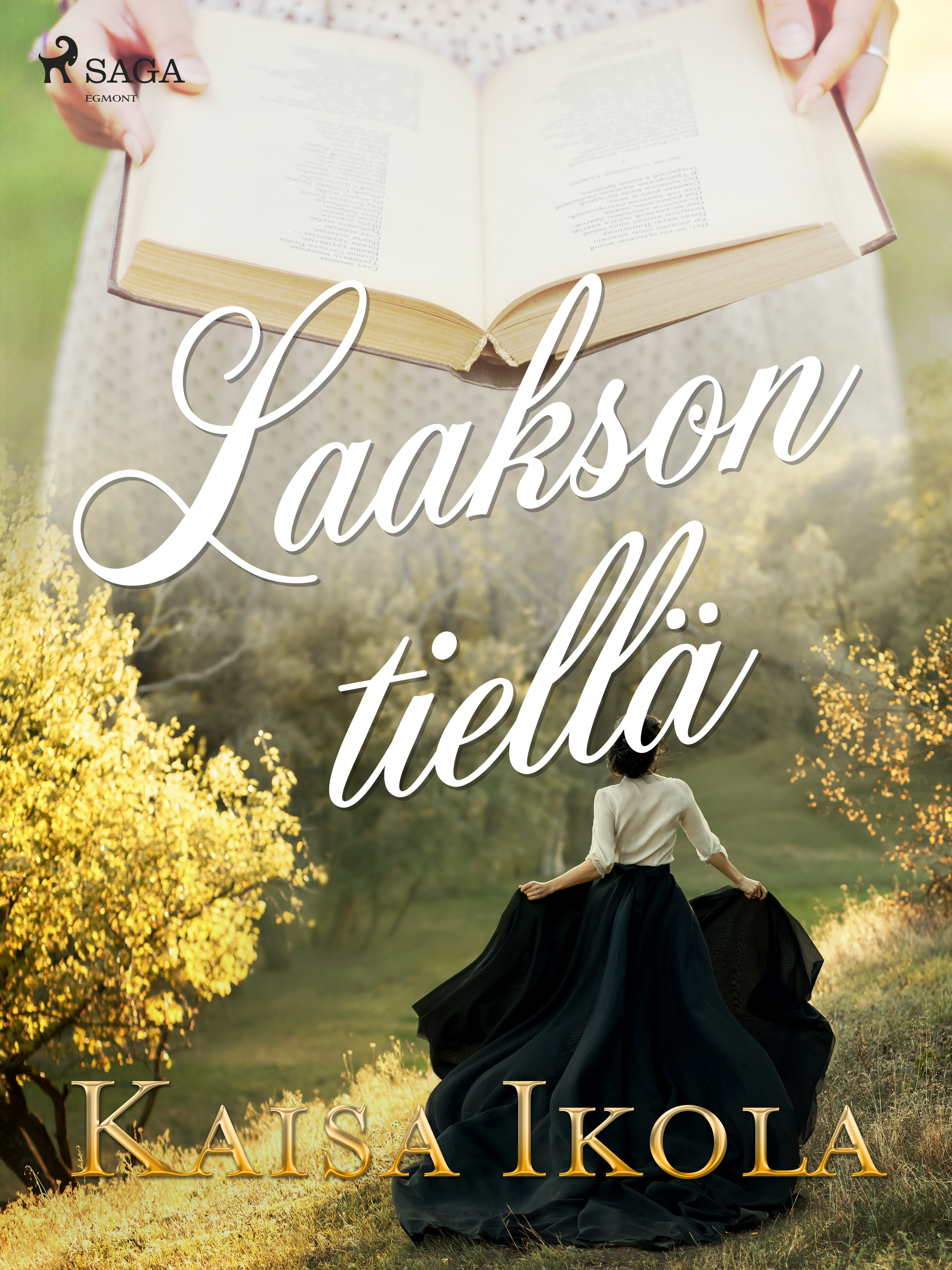 Laakson tiellä (Kindle Edition)