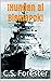 Hundan al Bismarck (Spanish Edition)