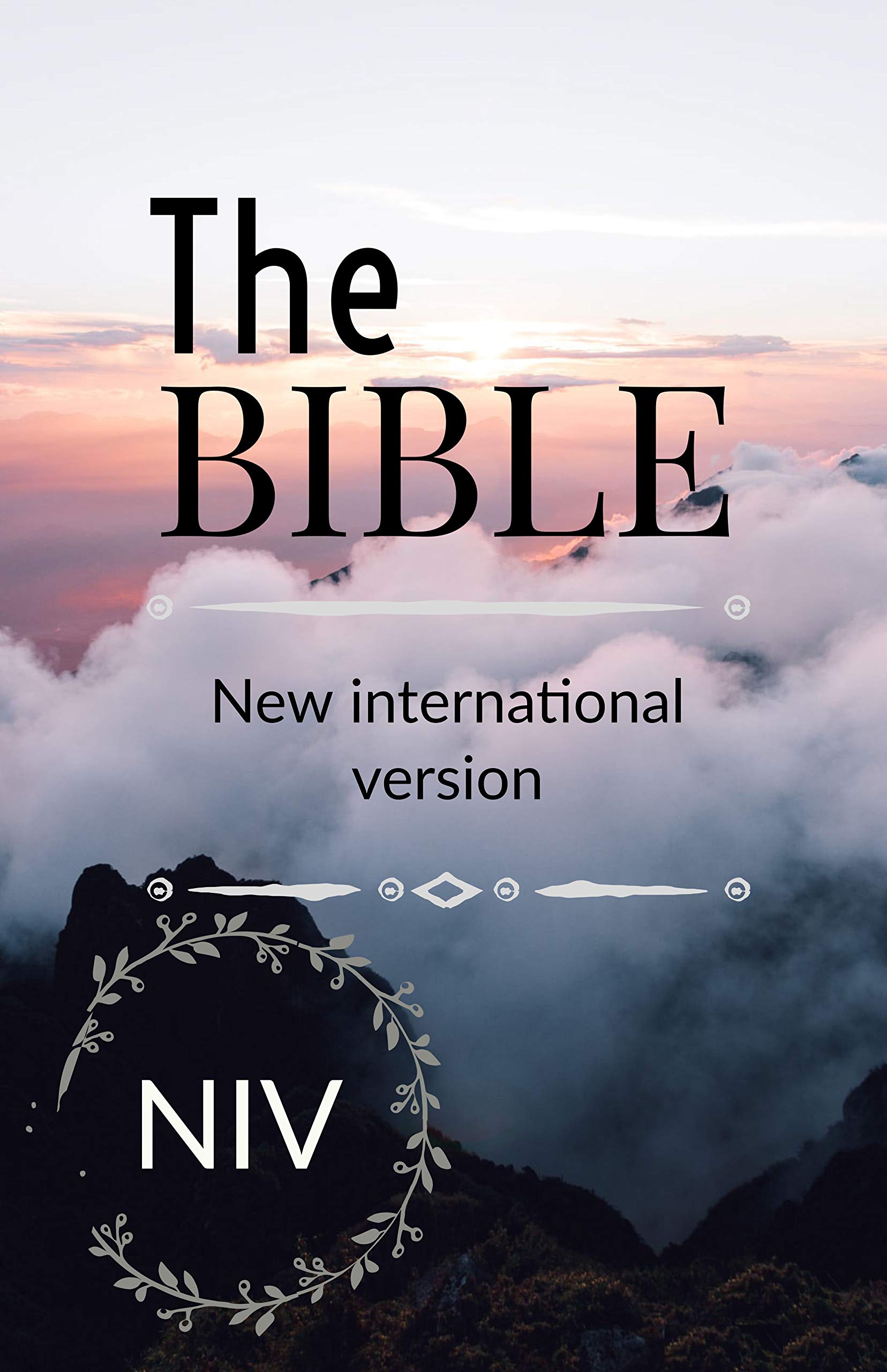 Holy Bible: NIV: New International Version