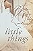Little Things: A Novel