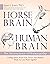 Horse Brain, Human Brain: T...