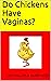 Do Chickens Have Vaginas?: (And other conversation topics)