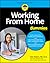 Working From Home For Dummies